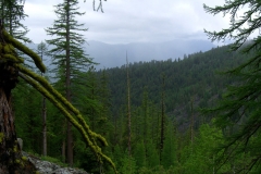 Mountain Side