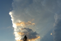 Rays Of Sun