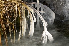 Frozen 1