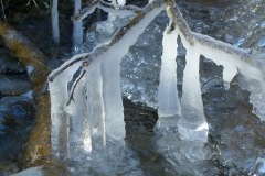 Frozen 3