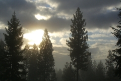 A New Day