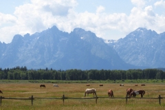 The Tetons