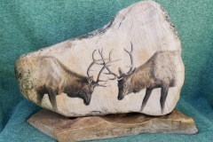 Elk 2