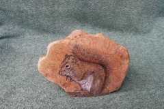 Squirrel 2