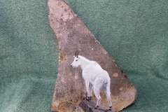 Mountain Goats A