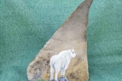 Mountain Goats B