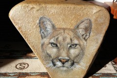 Cougar