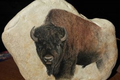 Buffalo