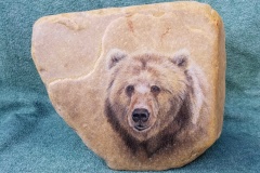 Grizzly