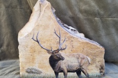 Elk
